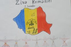 “Art creativ – Romania ” proiect de tineret dedicat Zilei Nationale a Romaniei
